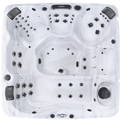 Avalon EC-867L hot tubs for sale in South Gate